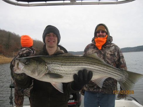 Nice Striped Bass